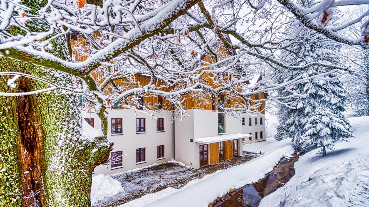 D19 Z Basenem, Sauna, Jacuzzi Park - 5d Szklarska Poręba