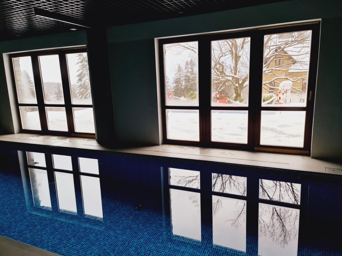 D19 Z Basenem, Sauna, Jacuzzi Park - 5d Leilighet Szklarska Poręba